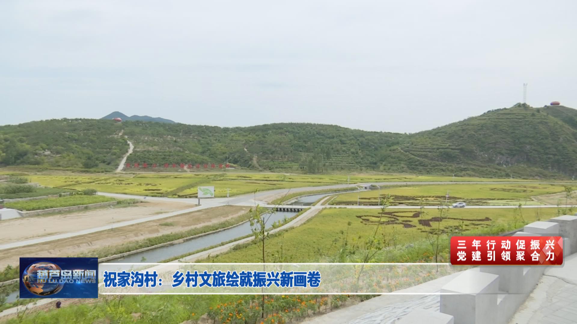 祝家溝村：鄉村文旅繪就振興新畫卷