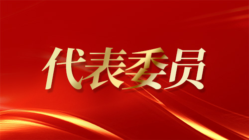 住遼全國政協委員討論政府工作報告