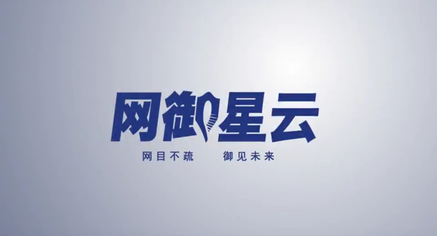 網(wǎng)御星云公司簡介
